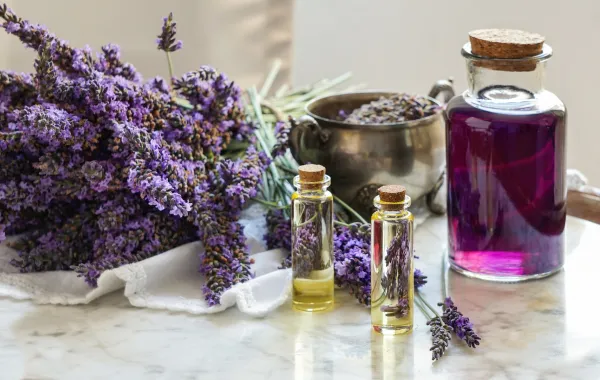 زيت اللافندر