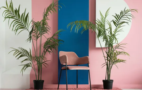 صورة تبين كيفية تزيين المنزل بالنخيل في رمضان مع الاستلهام من ألوانه الدارجة