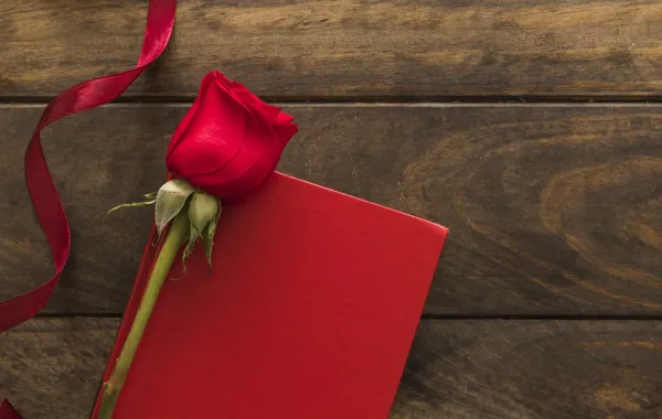 روايات عربية عن الحب تأسر القلوب- مصدر الصورة freepik