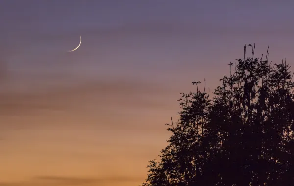 رؤيا هلال الشهر الكريم في المنام - مصدر الصورة: Freepik by wirestock