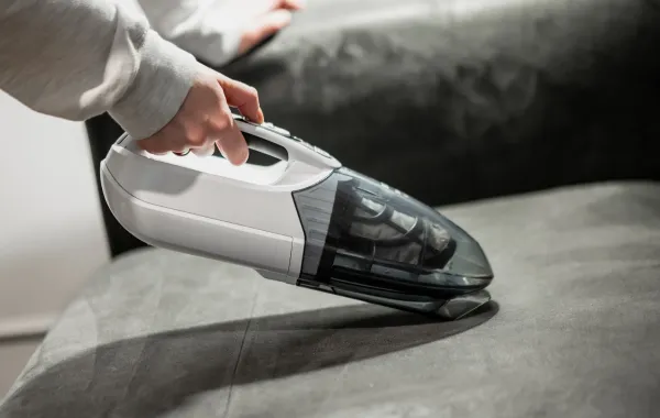 العناية بالكنب