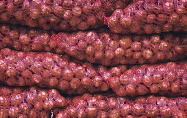 أكياس البصل الشبكية