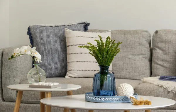 طاولة تتوسط غرفة المعيشة مع صينية تحمل التحف