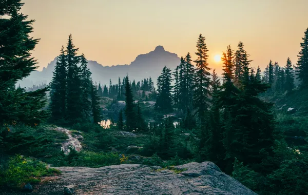 متعة الاسترخاء وسط الطبيعة