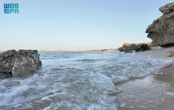 شاطئ الشعيبة