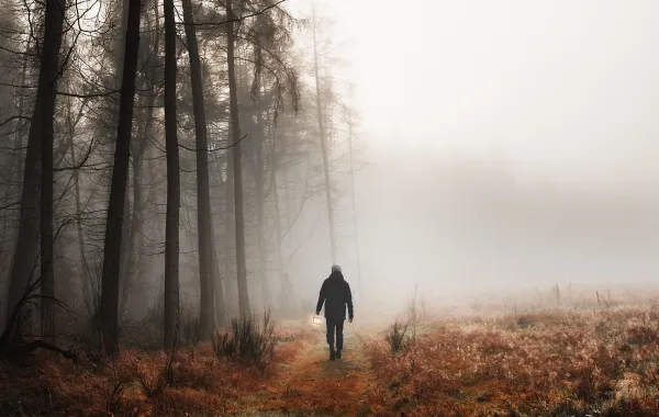 حلم نسيان الطريق - مصدر الصورة: Freepik by rawpixel.com