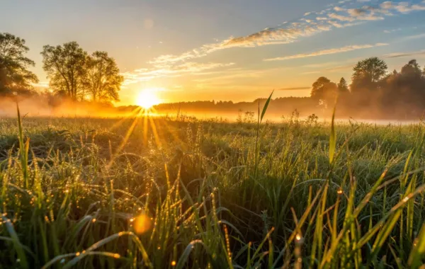 تفسير حُلم شروق الشمس في المنام