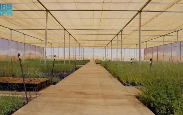 مشتل النباتات وبنك البذور