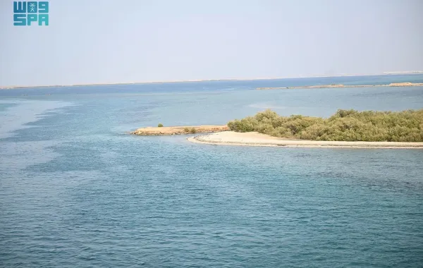 جزيرة فرسان