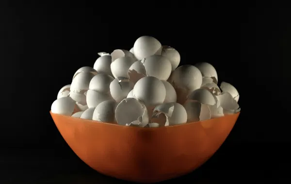 مجموعة من قشور البيض جاهزة للاستخدام في تنظيف المنزل