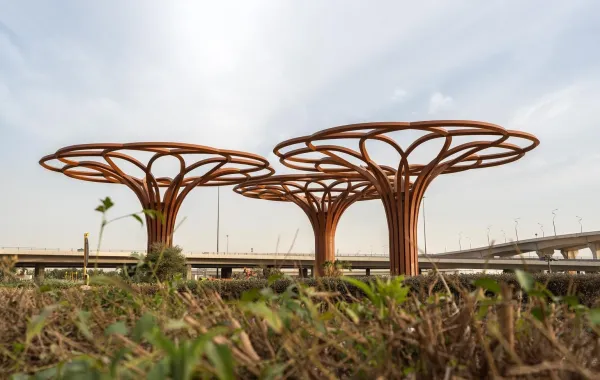 عمل "شجرة العائلة" للفنان سوبوده غوبتا في مركز الملك عبدالله المالي