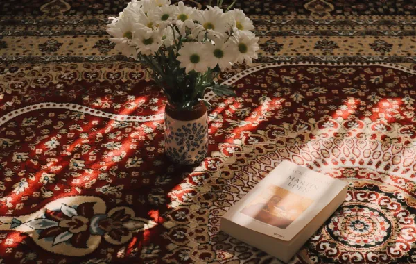 سجادة يدوية موزعة على أرضية المنزل