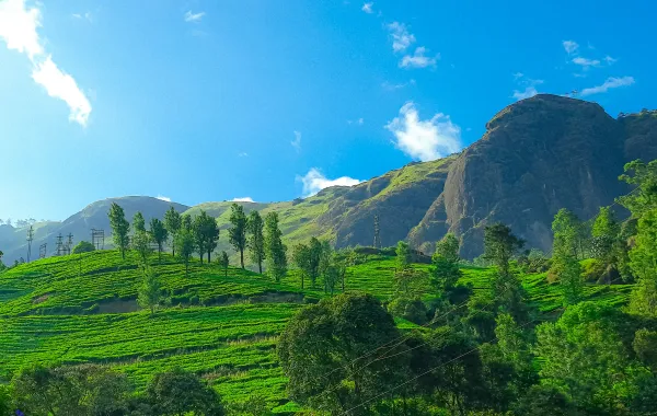 حدائق مونار الهادئة