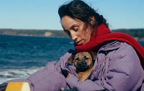 لقطة مصورة من الإعلان التشويقي للفيلم الحائز على جائزة Palm Dog Award