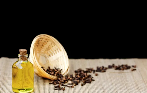زيت القرنفل لتعطير المنزل وطرد الحشرات وإزالة العفن السطحي