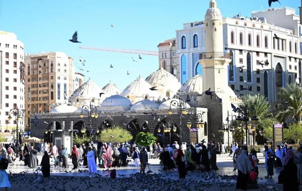المدينة المنورة