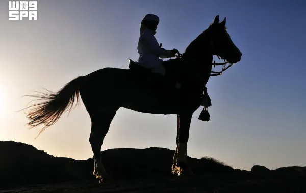 عدسات المبدعين توثق مشاهد خلابة لنجران في يوم التصوير العالمي (مصدر الصورة: واس)