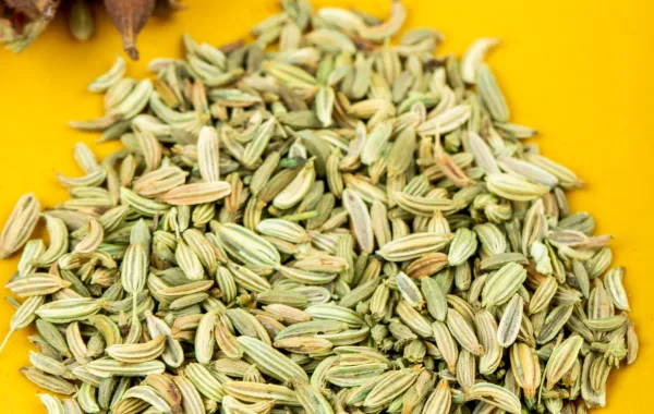 حلم الهيل الأخضر (الحبهان) في المنام - الصورة تعبيرية من magnific
