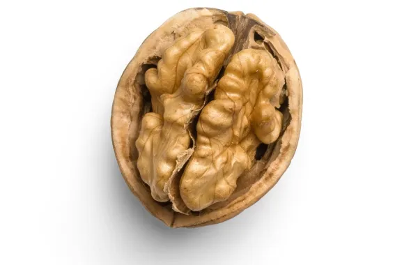 من الممكن استخدام قشور الجوز ولبه في التدبير المنزلي