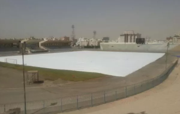 رسالة محبة خضراء للمليك تدخل موسوعة غينيس