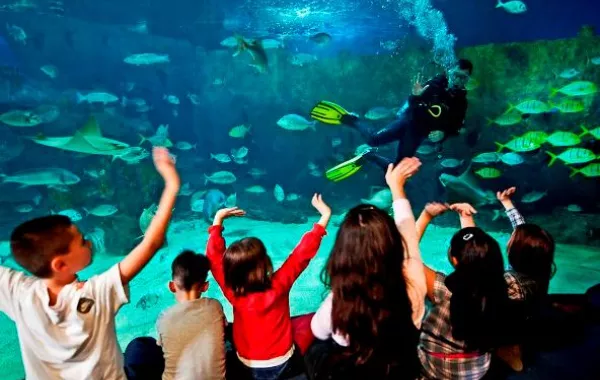 عالم من الخيال في أكواريوم اسطنبول