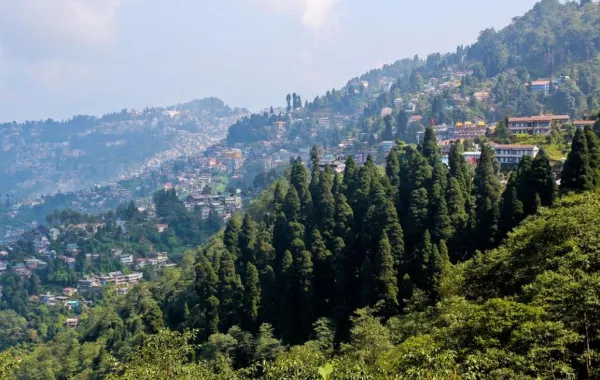 7 أسباب لزيارة "دارجيلنغ" موطن الشاي