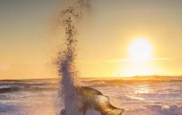 "أرض الجليد" بعدسة محترف