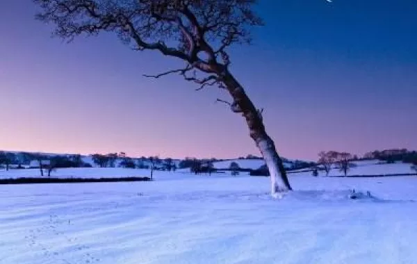 وجه آخر لجزيرة "وايت" الإنكليزيّة