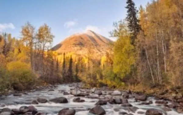 في طبيعة "ألاسكا"...