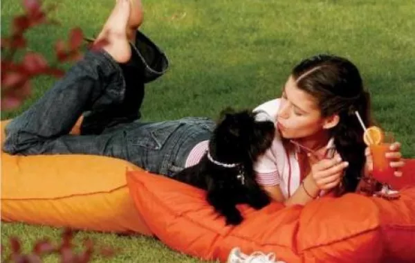 النجوم الأتراك مع حيواناتهم الأليفة