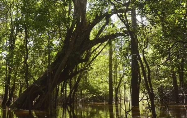 زوري الأماكن السياحيّة المهدّدة بالزوال!