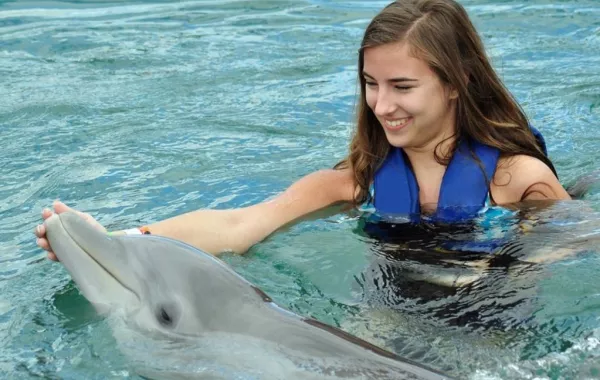 أين تسبحين مع الدلافين؟