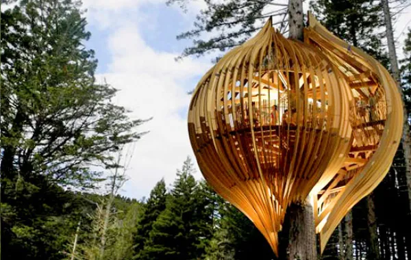 منازل معلّقة على الأشجار