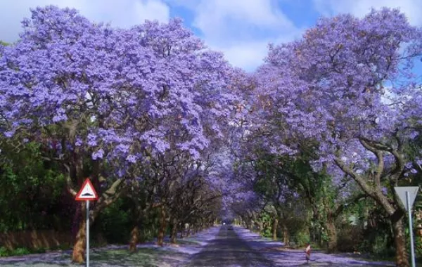 10 أنفاق تخطف الأنفاس!