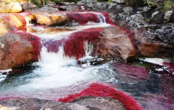 زوري هذه العناوين السياحية الغريبة...