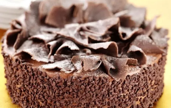 كعكة الشوكولاتة المحلاة للأعياد