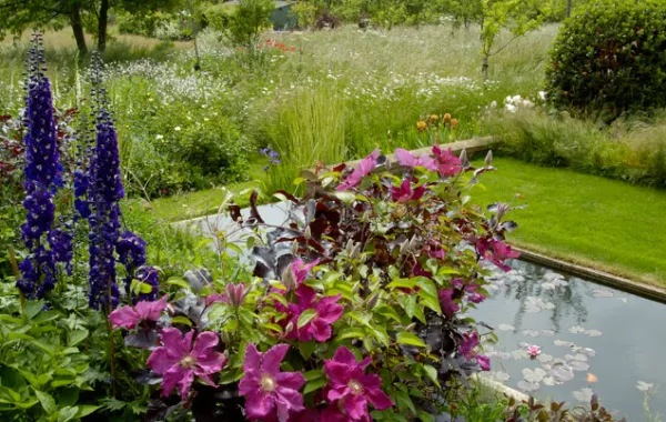 10 تصاميم للحدائق الخارجية