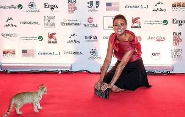 مواقف محرجة من مهرجان الجونة