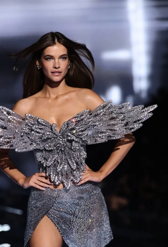 باربرا بالفنBarbara Palvin - (مصدر الصورة ANGELA WEISS/  AFP )