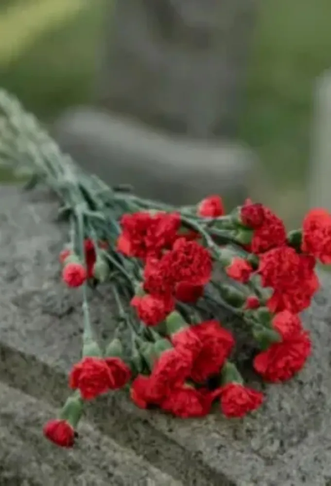 وفاة جاين تركا نجمة سلسلة أفلام "سكيري موفي" عن عمر يناهز 62 عاماً بعد تعرضها لصدمة نفسية