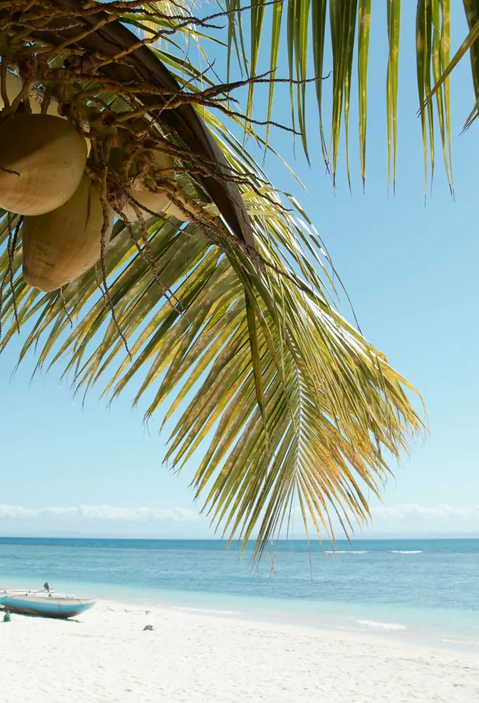 لقطة لأحد شواطئ مدغشقر  