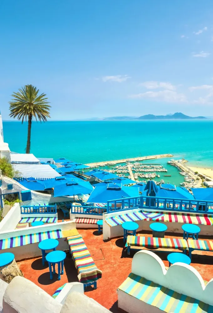 جانب من سيدي بوسعيد/ تصوير: Valery Bareta من shutterstock