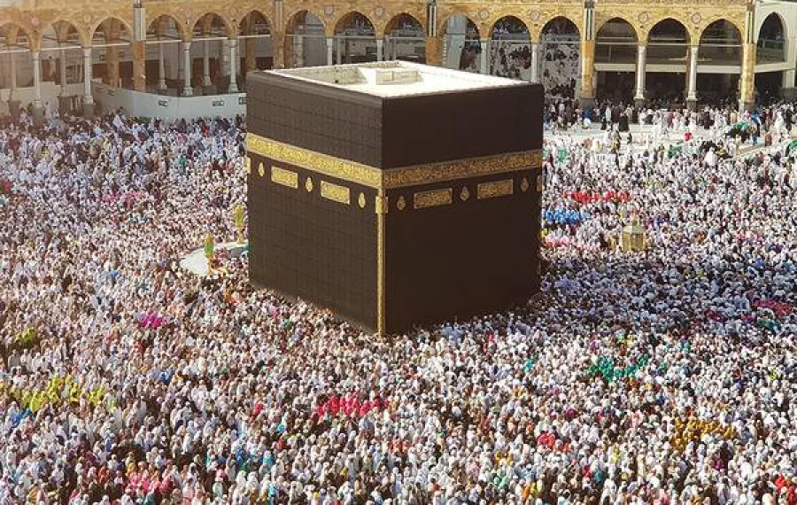 روبوت وبرامج تقنية.. رقمنة الخدمات لتسهيل رحلة ضيوف الرحمن للمشاعر المقدسة