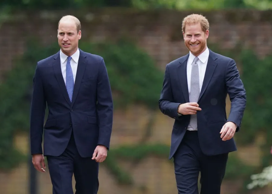 الأمير ويليام والأمير هاري في حديقة سانكن في قصر كنسينغتون، لندن (Prince William and Prince Harry at The Sunken Garden in Kensington Palace, London). مصدر الصورة: Yui Mok / POOL / AFP