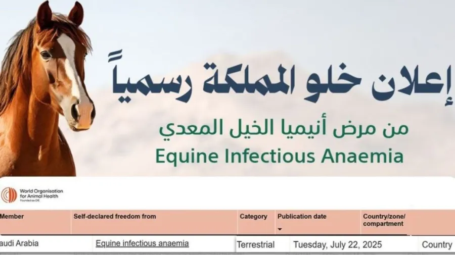 وباء