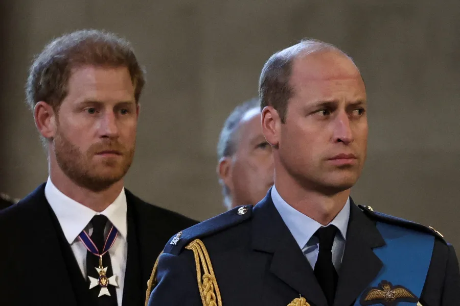 الأمير هاري والأمير ويليام لحظة وصول نعش الملكة إليزابيث الثانية إلى قصر وستمنستر ( Prince Harry and Prince William as Queen Elizabeth II's coffin arrives at Westminster Palace ). مصدر الصورة: ALKIS KONSTANTINIDIS / POOL / AFP