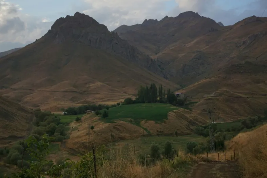 من طبيعة شرناق
