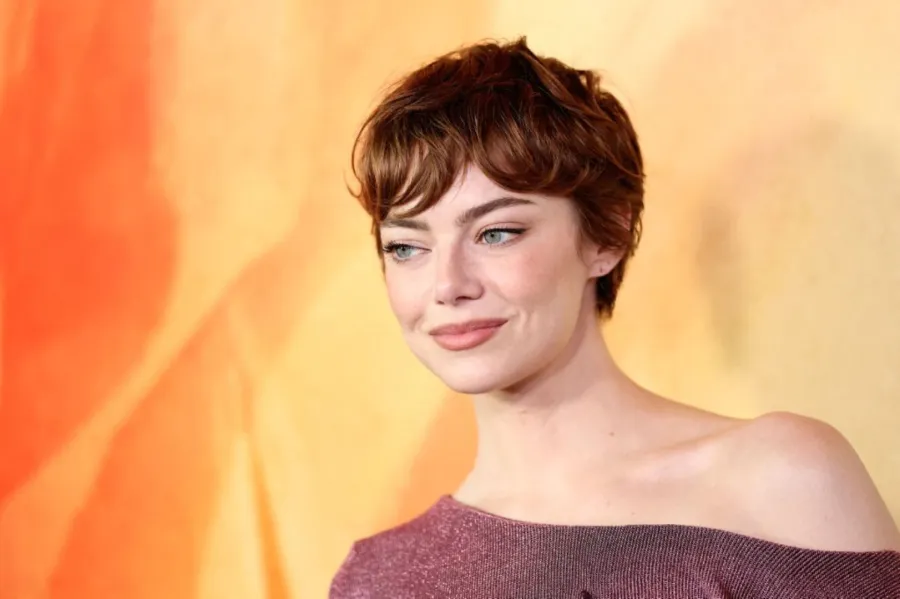 إيما ستون في مجمع مسرح DGA في لوس أنجلوس، كاليفورنيا (Emma Stone at DGA Theater Complex in Los Angeles, California). مصدر الصورة: Monica Schipper / GETTY IMAGES NORTH AMERICA / Getty Images via AFP