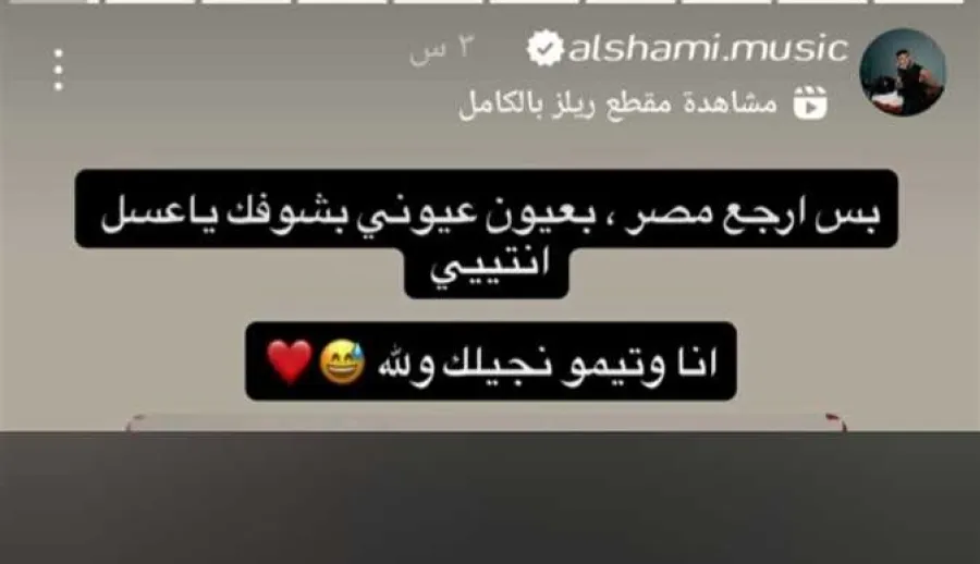 الشامي يوعد الطفلة هايدي بلقائها - الصورة من ستوري حسابه على إنستغرام
