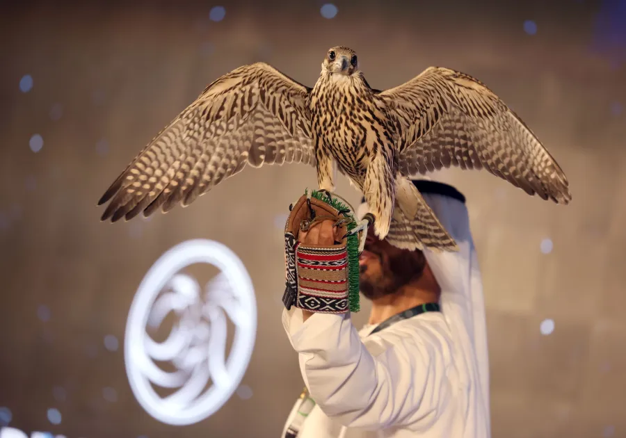 مشاركة الصقارين بمعرض أبوظبي للصيد والفروسية. الصورة من وكالة الأنباء الإماراتية "وام" 